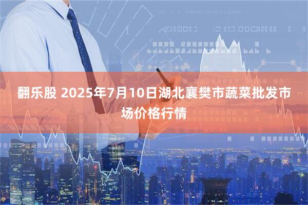 翻乐股 2025年7月10日湖北襄樊市蔬菜批发市场价格行情