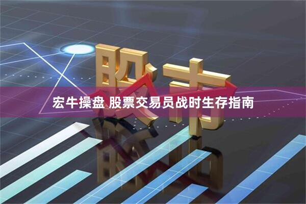 宏牛操盘 股票交易员战时生存指南